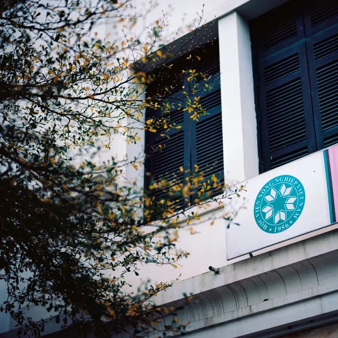 Brand Design Studio Japan 1